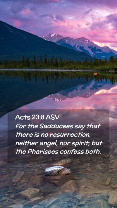 Picture 02 - Acts 23:8 ASV Mobile Phone Wallpaper - For the Sadducees say that there is no - Mobile Bible Verse Wallpaper