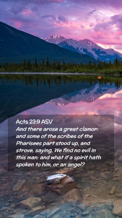 Picture 02 - Acts 23:9 ASV Mobile Phone Wallpaper - And there arose a great clamor: and some of the - Mobile Bible Verse Wallpaper