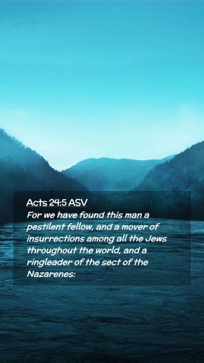 Picture 02 - Acts 24:5 ASV Mobile Phone Wallpaper - For we have found this man a pestilent fellow, - Mobile Bible Verse Wallpaper