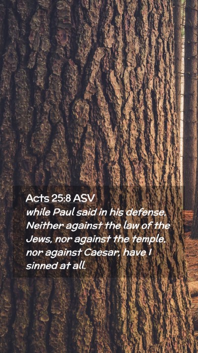 Picture 02 - Acts 25:8 ASV Mobile Phone Wallpaper - while Paul said in his defense, Neither against - Mobile Bible Verse Wallpaper