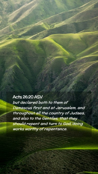 Picture 02 - Acts 26:20 ASV Mobile Phone Wallpaper - but declared both to them of Damascus first and - Mobile Bible Verse Wallpaper