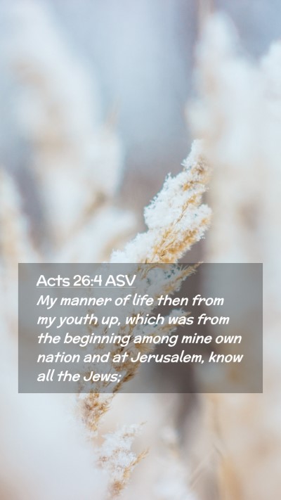 Picture 02 - Acts 26:4 ASV Mobile Phone Wallpaper - My manner of life then from my youth up, which - Mobile Bible Verse Wallpaper