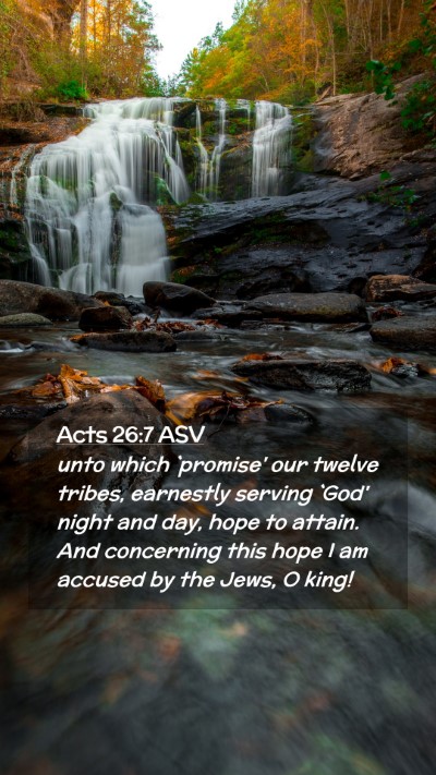 Picture 02 - Acts 26:7 ASV Mobile Phone Wallpaper - unto which `promise' our twelve tribes, earnestly - Mobile Bible Verse Wallpaper