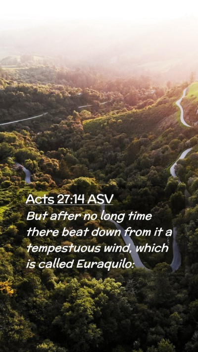 Picture 02 - Acts 27:14 ASV Mobile Phone Wallpaper - But after no long time there beat down from it a - Mobile Bible Verse Wallpaper