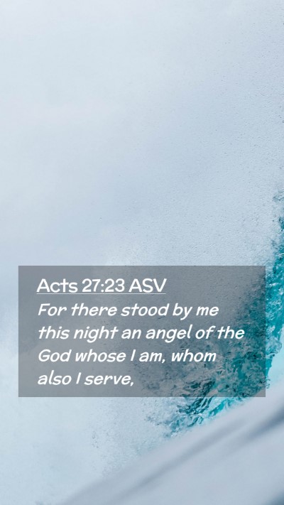 Picture 02 - Acts 27:23 ASV Mobile Phone Wallpaper - For there stood by me this night an angel of the - Mobile Bible Verse Wallpaper