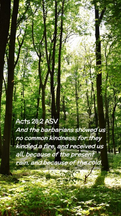 Picture 02 - Acts 28:2 ASV Mobile Phone Wallpaper - And the barbarians showed us no common kindness; - Mobile Bible Verse Wallpaper