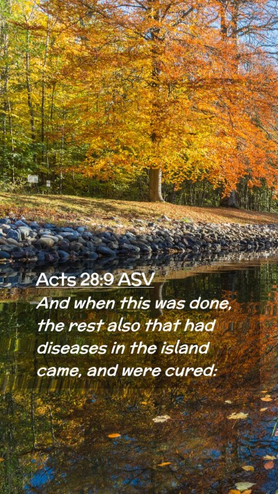 Picture 02 - Acts 28:9 ASV Mobile Phone Wallpaper - And when this was done, the rest also that had - Mobile Bible Verse Wallpaper