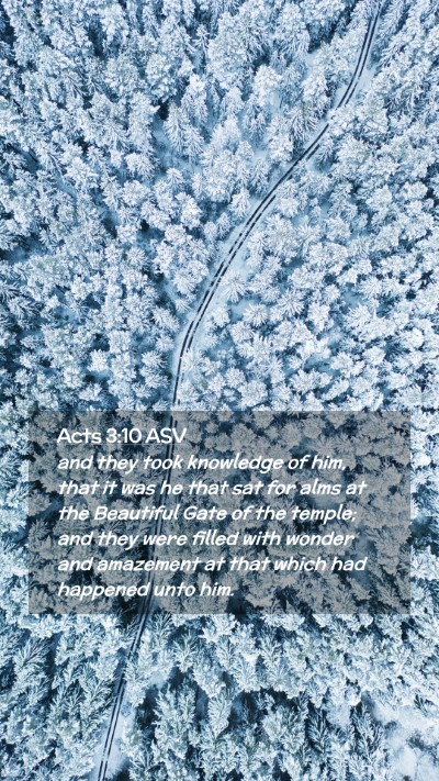 Picture 02 - Acts 3:10 ASV Mobile Phone Wallpaper - and they took knowledge of him, that it was he - Mobile Bible Verse Wallpaper