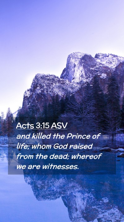 Picture 02 - Acts 3:15 ASV Mobile Phone Wallpaper - and killed the Prince of life; whom God raised - Mobile Bible Verse Wallpaper