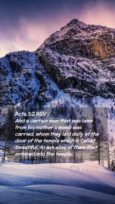 Picture 02 - Acts 3:2 ASV Mobile Phone Wallpaper - And a certain man that was lame from his mother's - Mobile Bible Verse Wallpaper