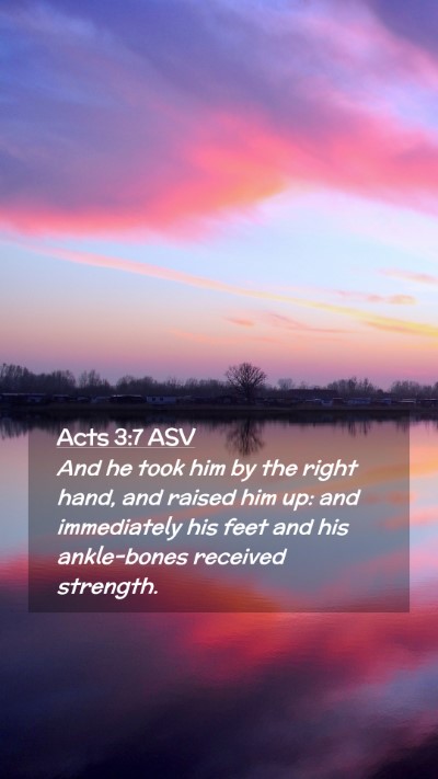 Picture 02 - Acts 3:7 ASV Mobile Phone Wallpaper - And he took him by the right hand, and raised him - Mobile Bible Verse Wallpaper