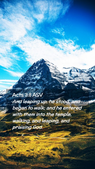 Picture 02 - Acts 3:8 ASV Mobile Phone Wallpaper - And leaping up, he stood, and began to walk; and - Mobile Bible Verse Wallpaper