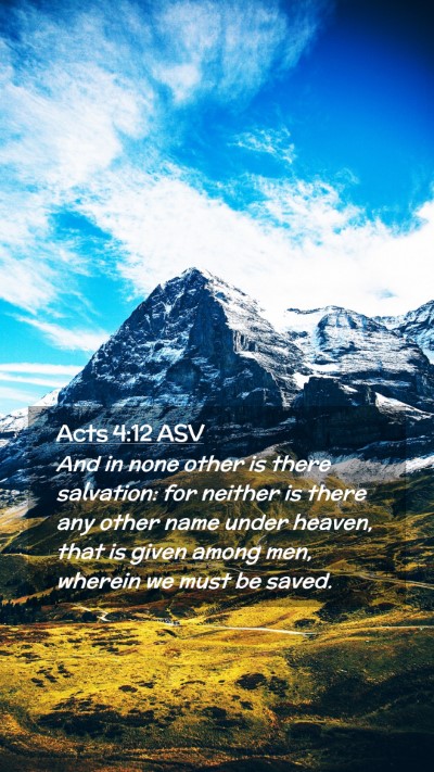 Picture 02 - Acts 4:12 ASV Mobile Phone Wallpaper - And in none other is there salvation: for neither - Mobile Bible Verse Wallpaper