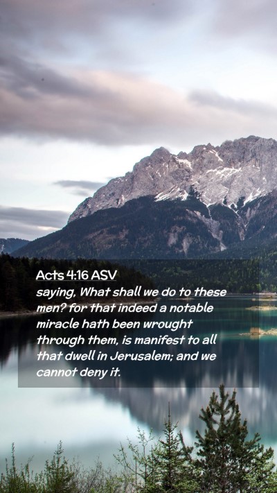 Picture 02 - Acts 4:16 ASV Mobile Phone Wallpaper - saying, What shall we do to these men? for that - Mobile Bible Verse Wallpaper