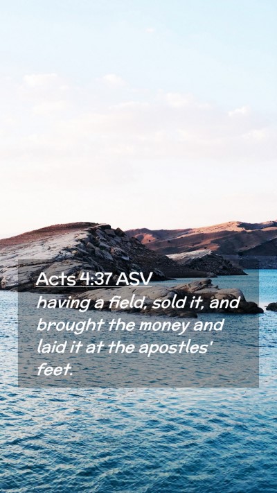 Picture 02 - Acts 4:37 ASV Mobile Phone Wallpaper - having a field, sold it, and brought the money - Mobile Bible Verse Wallpaper