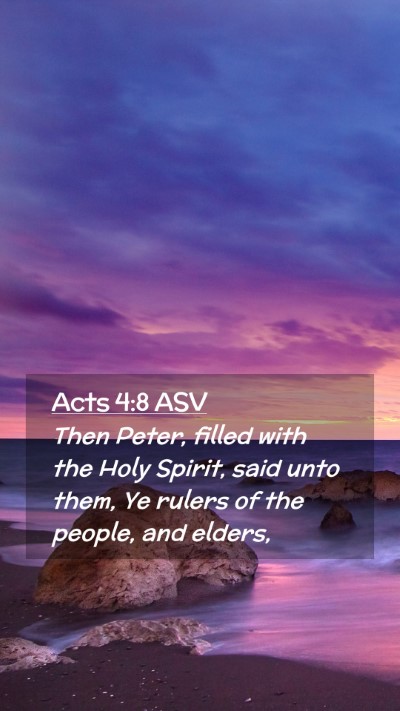 Picture 02 - Acts 4:8 ASV Mobile Phone Wallpaper - Then Peter, filled with the Holy Spirit, said - Mobile Bible Verse Wallpaper