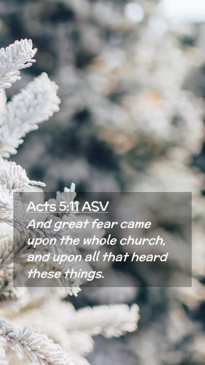 Picture 02 - Acts 5:11 ASV Mobile Phone Wallpaper - And great fear came upon the whole church, and - Mobile Bible Verse Wallpaper