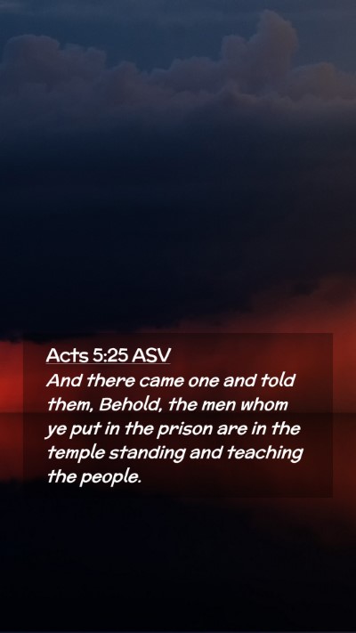 Picture 02 - Acts 5:25 ASV Mobile Phone Wallpaper - And there came one and told them, Behold, the men - Mobile Bible Verse Wallpaper