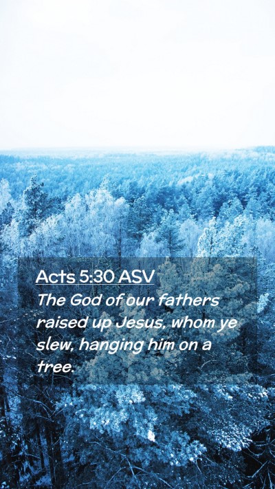 Picture 02 - Acts 5:30 ASV Mobile Phone Wallpaper - The God of our fathers raised up Jesus, whom ye - Mobile Bible Verse Wallpaper
