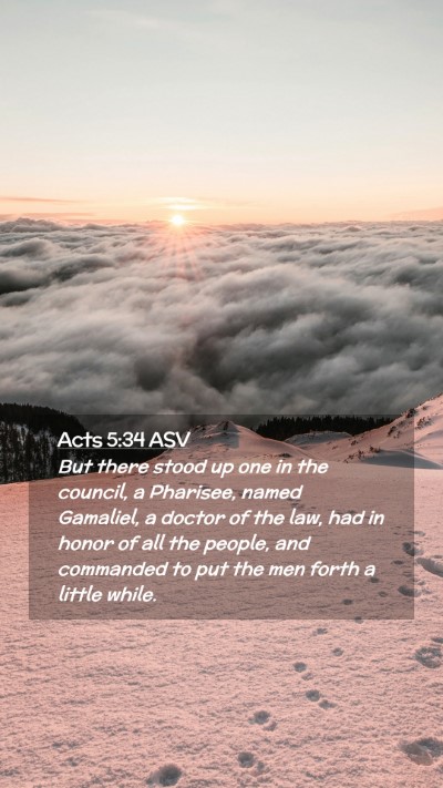 Picture 02 - Acts 5:34 ASV Mobile Phone Wallpaper - But there stood up one in the council, a - Mobile Bible Verse Wallpaper