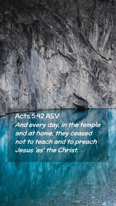Picture 02 - Acts 5:42 ASV Mobile Phone Wallpaper - And every day, in the temple and at home, they - Mobile Bible Verse Wallpaper