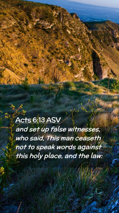 Picture 02 - Acts 6:13 ASV Mobile Phone Wallpaper - and set up false witnesses, who said, This man - Mobile Bible Verse Wallpaper