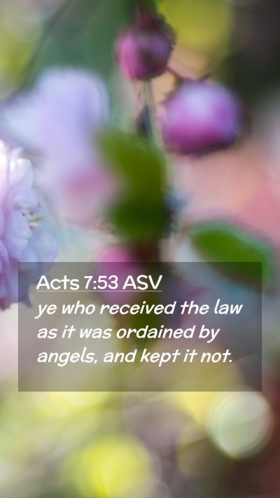 Picture 02 - Acts 7:53 ASV Mobile Phone Wallpaper - ye who received the law as it was ordained by - Mobile Bible Verse Wallpaper