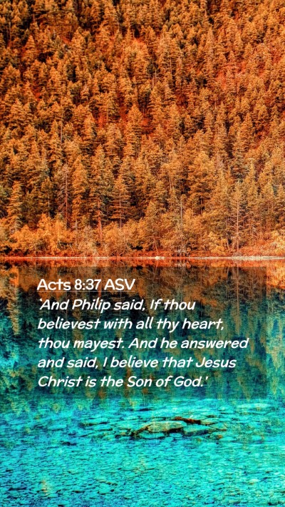 Picture 02 - Acts 8:37 ASV Mobile Phone Wallpaper - `And Philip said, If thou believest with all thy - Mobile Bible Verse Wallpaper