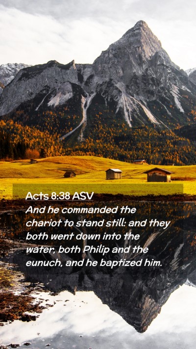 Picture 02 - Acts 8:38 ASV Mobile Phone Wallpaper - And he commanded the chariot to stand still: and - Mobile Bible Verse Wallpaper