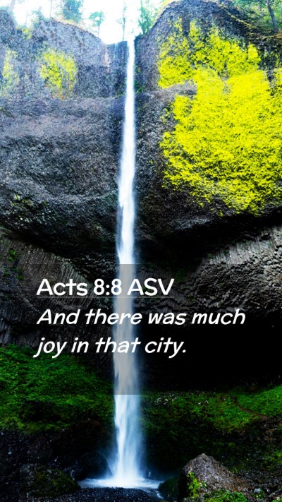 Picture 02 - Acts 8:8 ASV Mobile Phone Wallpaper - And there was much joy in that - Mobile Bible Verse Wallpaper
