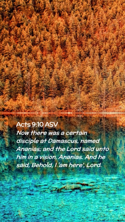 Picture 02 - Acts 9:10 ASV Mobile Phone Wallpaper - Now there was a certain disciple at Damascus, - Mobile Bible Verse Wallpaper