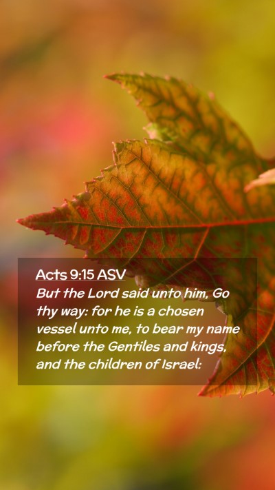 Picture 02 - Acts 9:15 ASV Mobile Phone Wallpaper - But the Lord said unto him, Go thy way: for he is - Mobile Bible Verse Wallpaper
