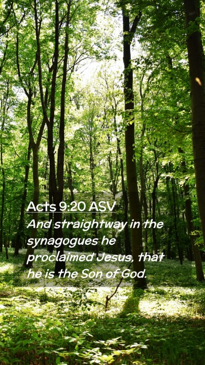 Picture 02 - Acts 9:20 ASV Mobile Phone Wallpaper - And straightway in the synagogues he proclaimed - Mobile Bible Verse Wallpaper