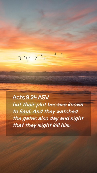 Picture 02 - Acts 9:24 ASV Mobile Phone Wallpaper - but their plot became known to Saul. And they - Mobile Bible Verse Wallpaper