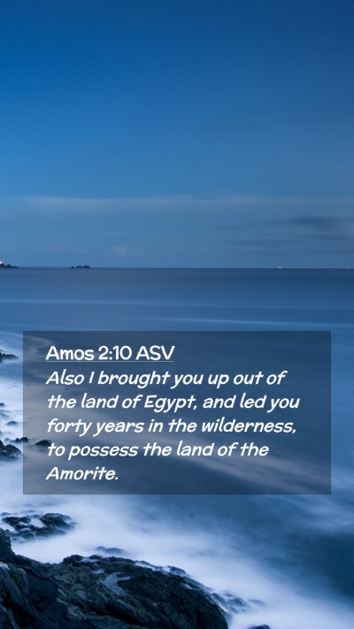 Picture 02 - Amos 2:10 ASV Mobile Phone Wallpaper - Also I brought you up out of the land of Egypt, - Mobile Bible Verse Wallpaper