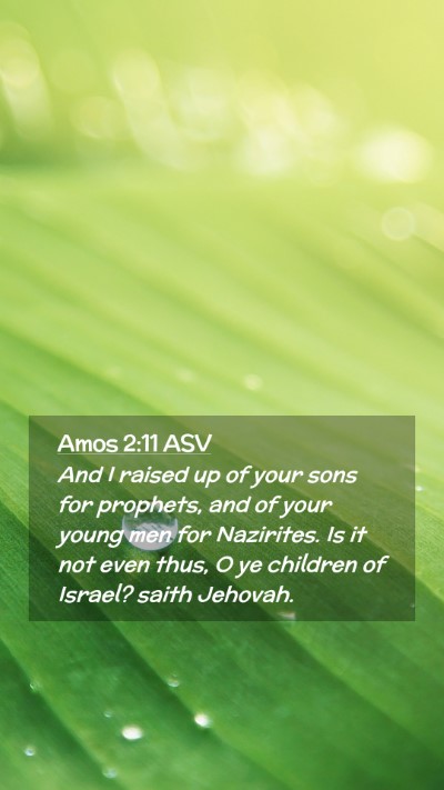 Picture 02 - Amos 2:11 ASV Mobile Phone Wallpaper - And I raised up of your sons for prophets, and of - Mobile Bible Verse Wallpaper