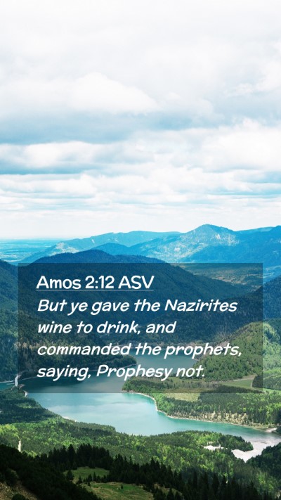 Picture 02 - Amos 2:12 ASV Mobile Phone Wallpaper - But ye gave the Nazirites wine to drink, and - Mobile Bible Verse Wallpaper