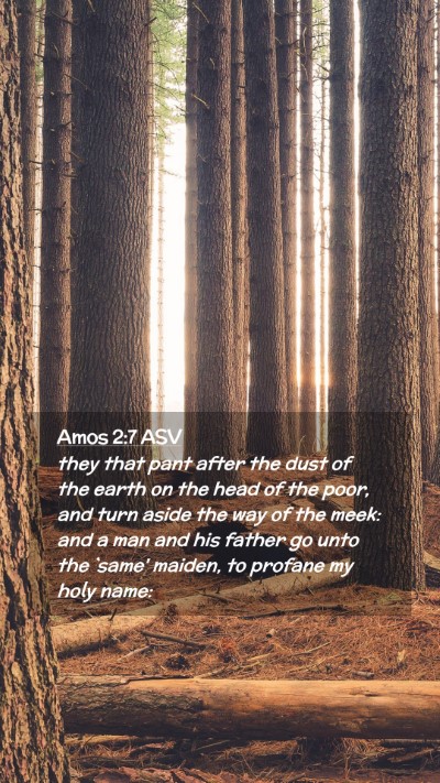 Picture 02 - Amos 2:7 ASV Mobile Phone Wallpaper - they that pant after the dust of the earth on the - Mobile Bible Verse Wallpaper