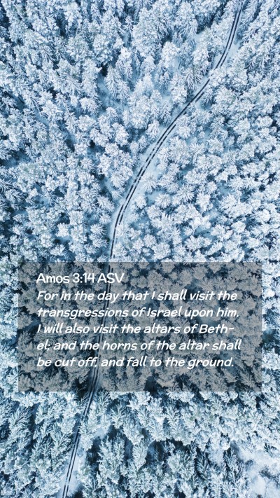 Picture 02 - Amos 3:14 ASV Mobile Phone Wallpaper - For in the day that I shall visit the - Mobile Bible Verse Wallpaper
