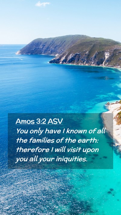 Picture 02 - Amos 3:2 ASV Mobile Phone Wallpaper - You only have I known of all the families of the - Mobile Bible Verse Wallpaper