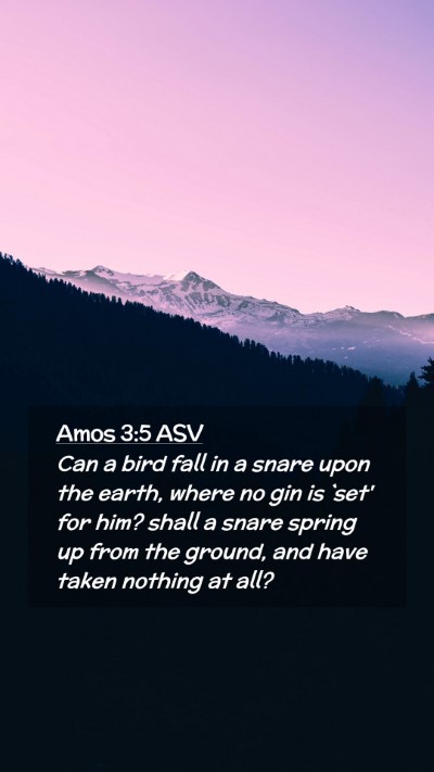 Picture 02 - Amos 3:5 ASV Mobile Phone Wallpaper - Can a bird fall in a snare upon the earth, where - Mobile Bible Verse Wallpaper