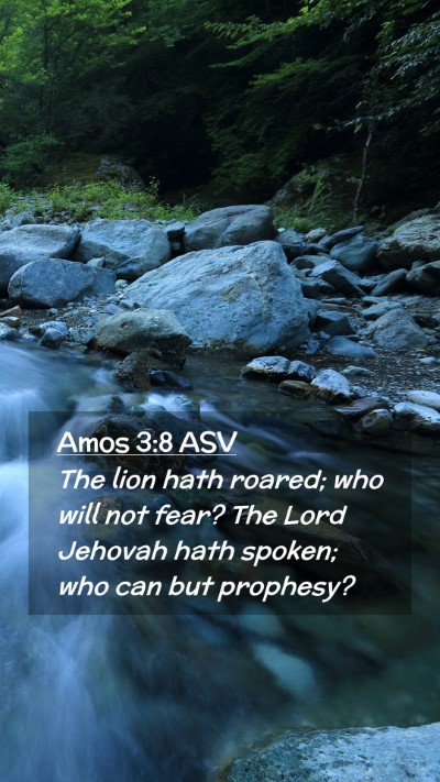 Picture 02 - Amos 3:8 ASV Mobile Phone Wallpaper - The lion hath roared; who will not fear? The Lord - Mobile Bible Verse Wallpaper
