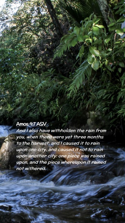 Picture 02 - Amos 4:7 ASV Mobile Phone Wallpaper - And I also have withholden the rain from you, - Mobile Bible Verse Wallpaper