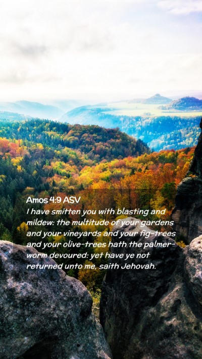 Picture 02 - Amos 4:9 ASV Mobile Phone Wallpaper - I have smitten you with blasting and mildew: the - Mobile Bible Verse Wallpaper