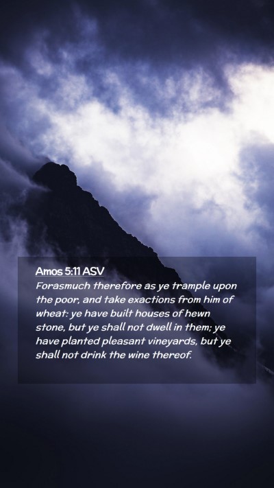 Picture 02 - Amos 5:11 ASV Mobile Phone Wallpaper - Forasmuch therefore as ye trample upon the poor, - Mobile Bible Verse Wallpaper
