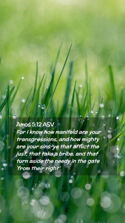 Picture 02 - Amos 5:12 ASV Mobile Phone Wallpaper - For I know how manifold are your transgressions, - Mobile Bible Verse Wallpaper