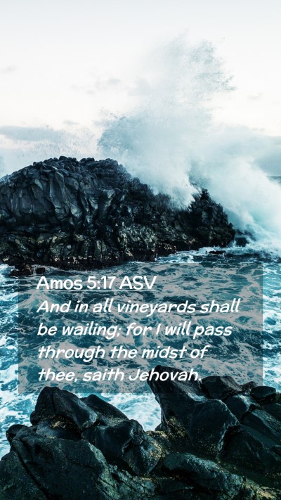 Picture 02 - Amos 5:17 ASV Mobile Phone Wallpaper - And in all vineyards shall be wailing; for I will - Mobile Bible Verse Wallpaper