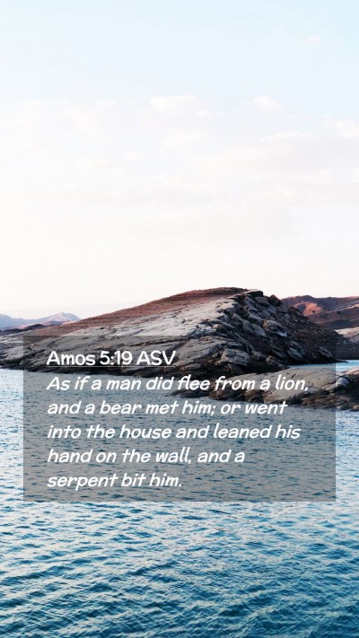 Picture 02 - Amos 5:19 ASV Mobile Phone Wallpaper - As if a man did flee from a lion, and a bear met - Mobile Bible Verse Wallpaper