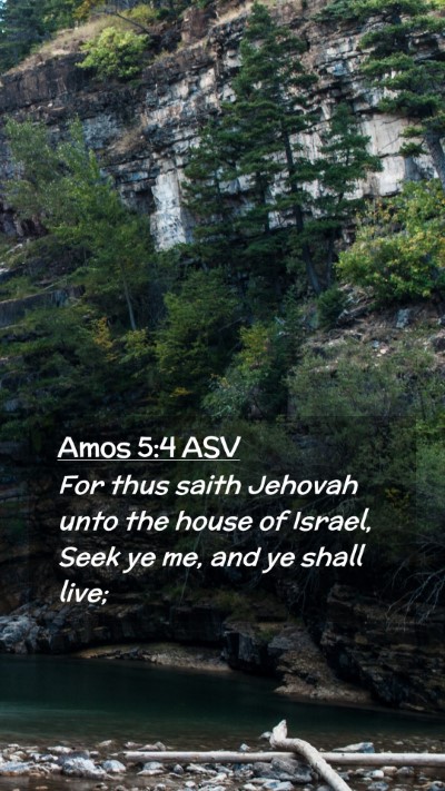 Picture 02 - Amos 5:4 ASV Mobile Phone Wallpaper - For thus saith Jehovah unto the house of Israel, - Mobile Bible Verse Wallpaper