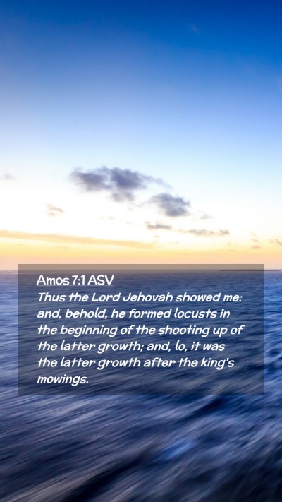 Picture 02 - Amos 7:1 ASV Mobile Phone Wallpaper - Thus the Lord Jehovah showed me: and, behold, he - Mobile Bible Verse Wallpaper